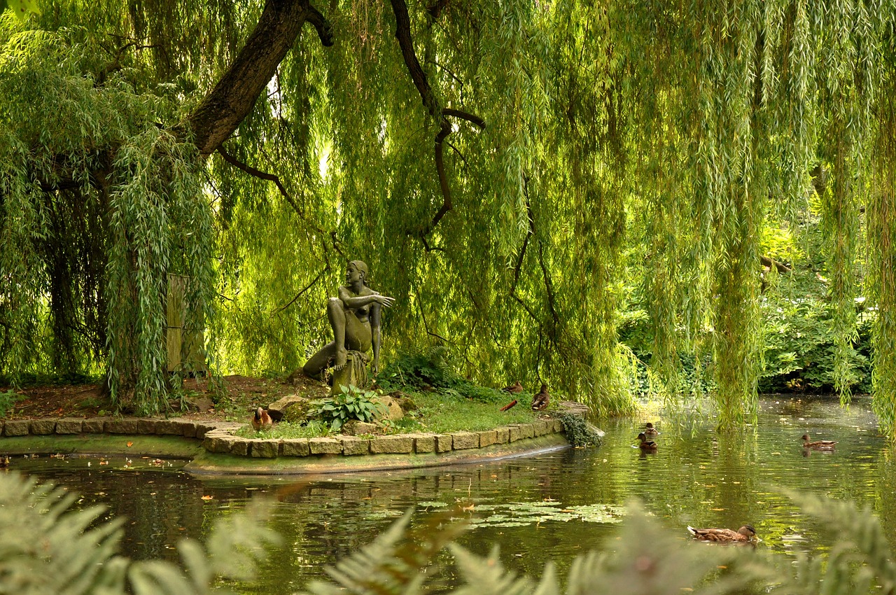 karlovy vary czech republic water free photo