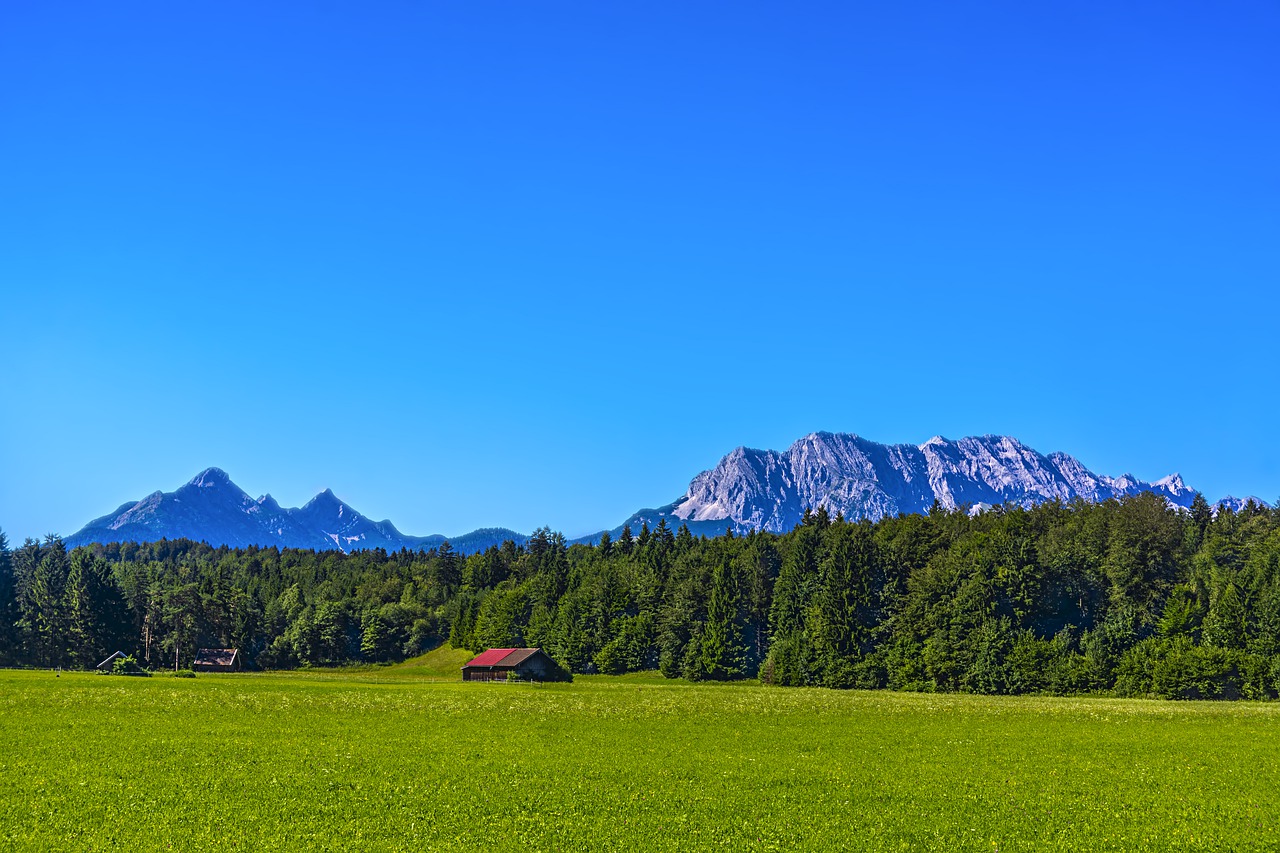 karwendel  mittenwald  forest free photo