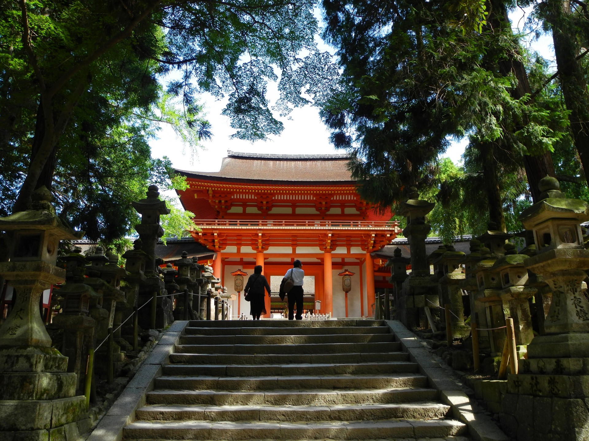 kasuga taisya japan shrine free photo