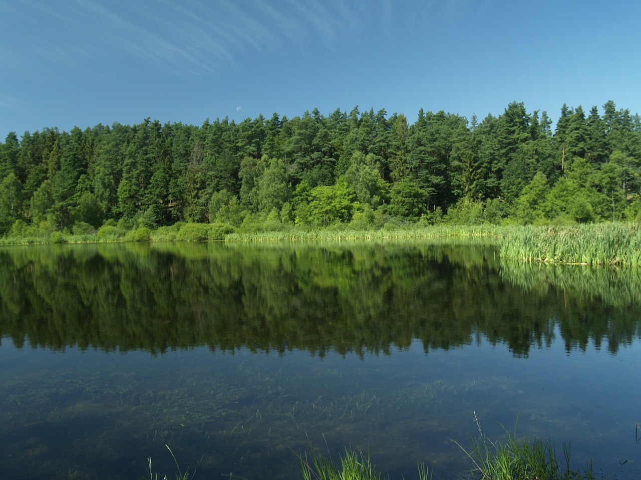 kaszuby lake forest free photo