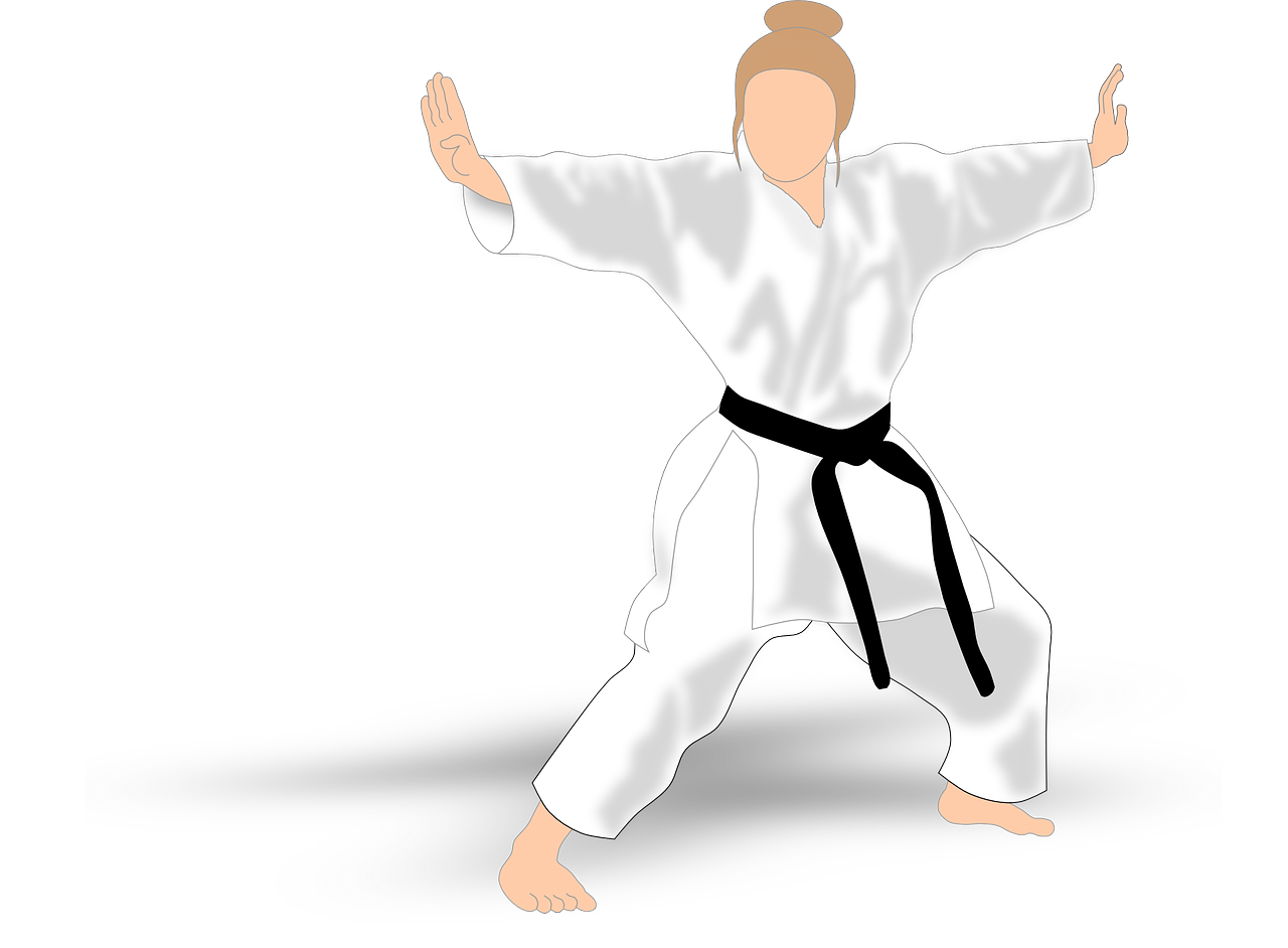 kata karate martial arts free photo