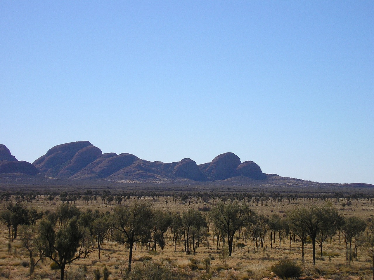 kata tjuta outback desert free photo