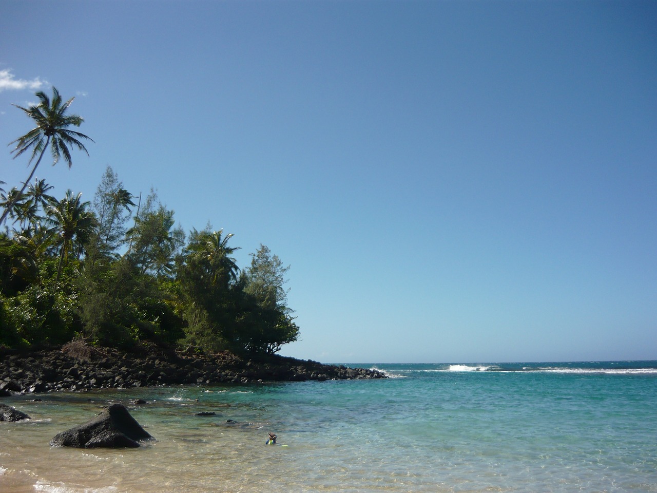 kauai beach hawaii free photo