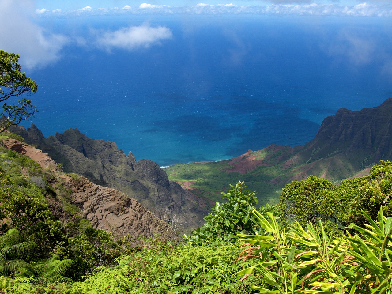 kauai hawaii island free photo
