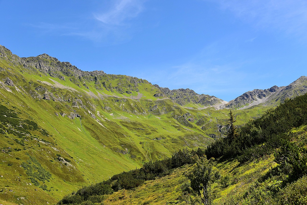 kaunertal mountain meadow tyrol free photo