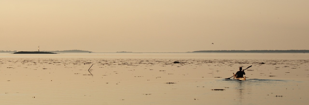 kayak fjord calm seas free photo