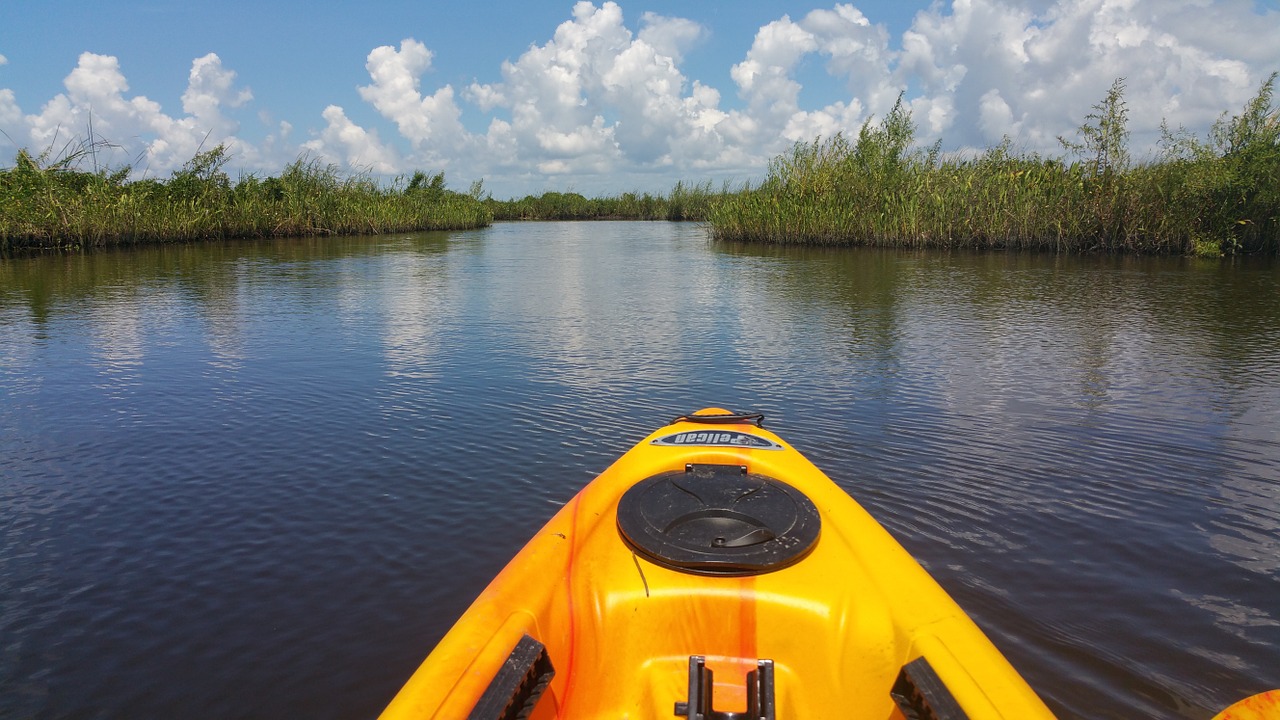 kayak water marsh free photo