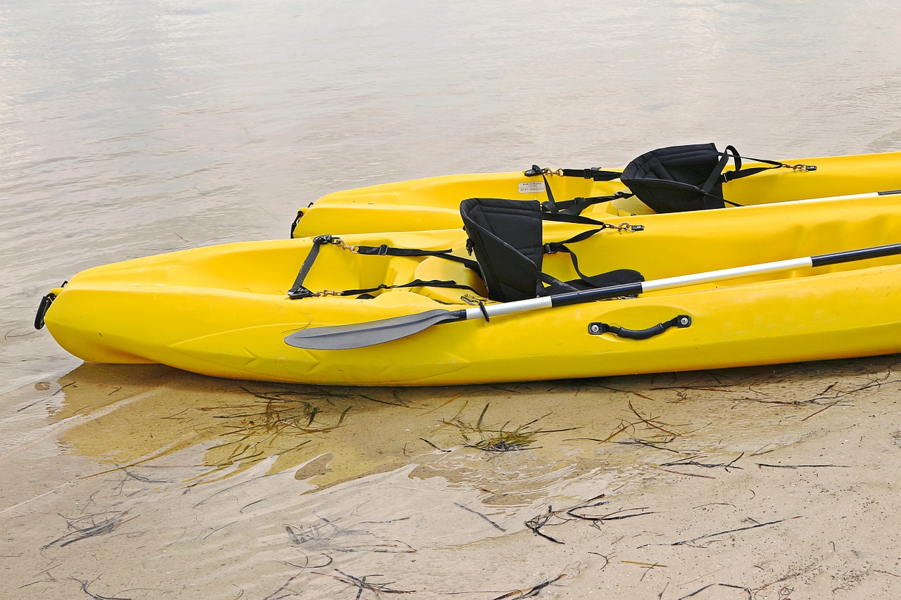kayak boat rowing free photo