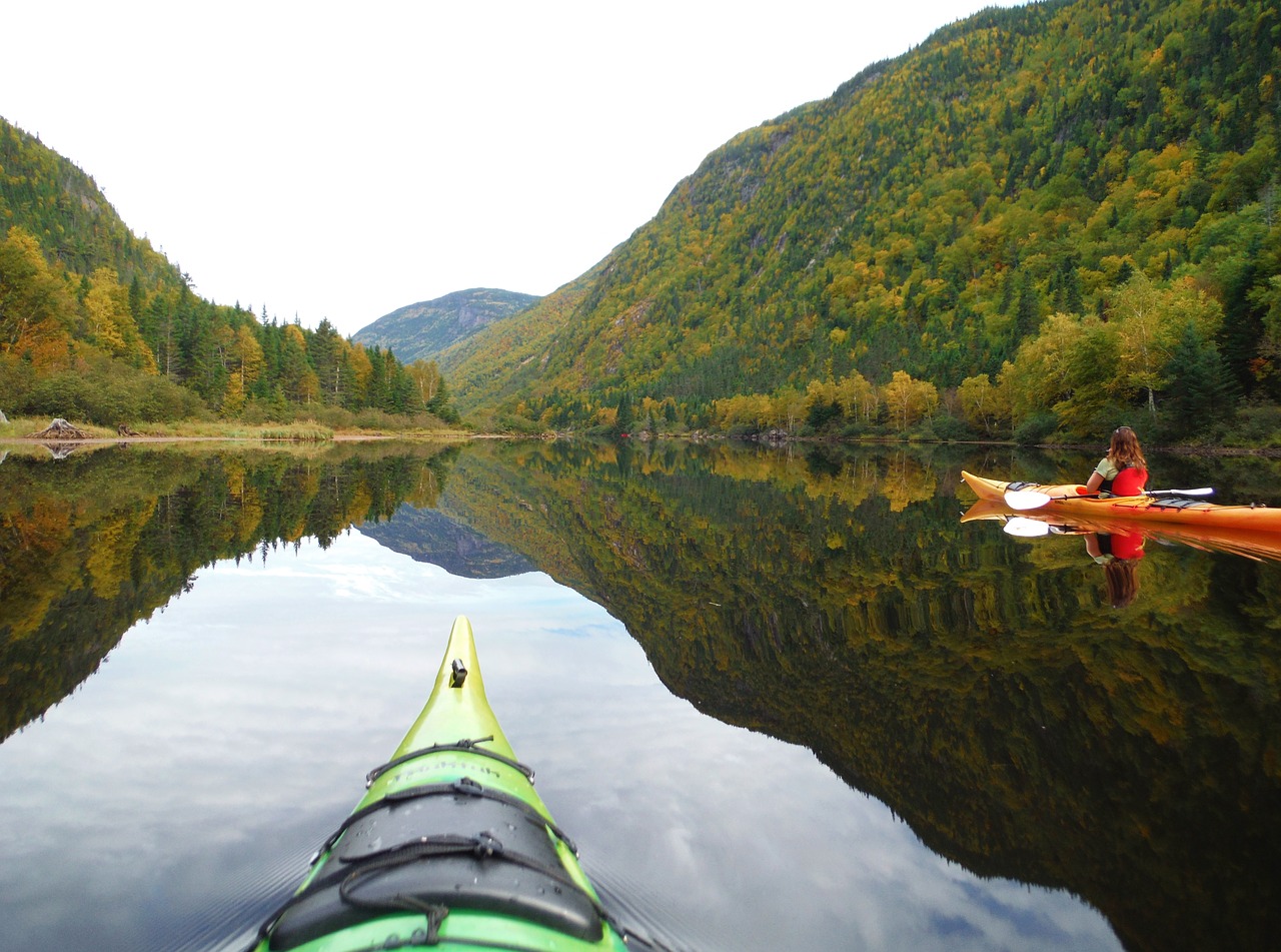 kayak nature river free photo