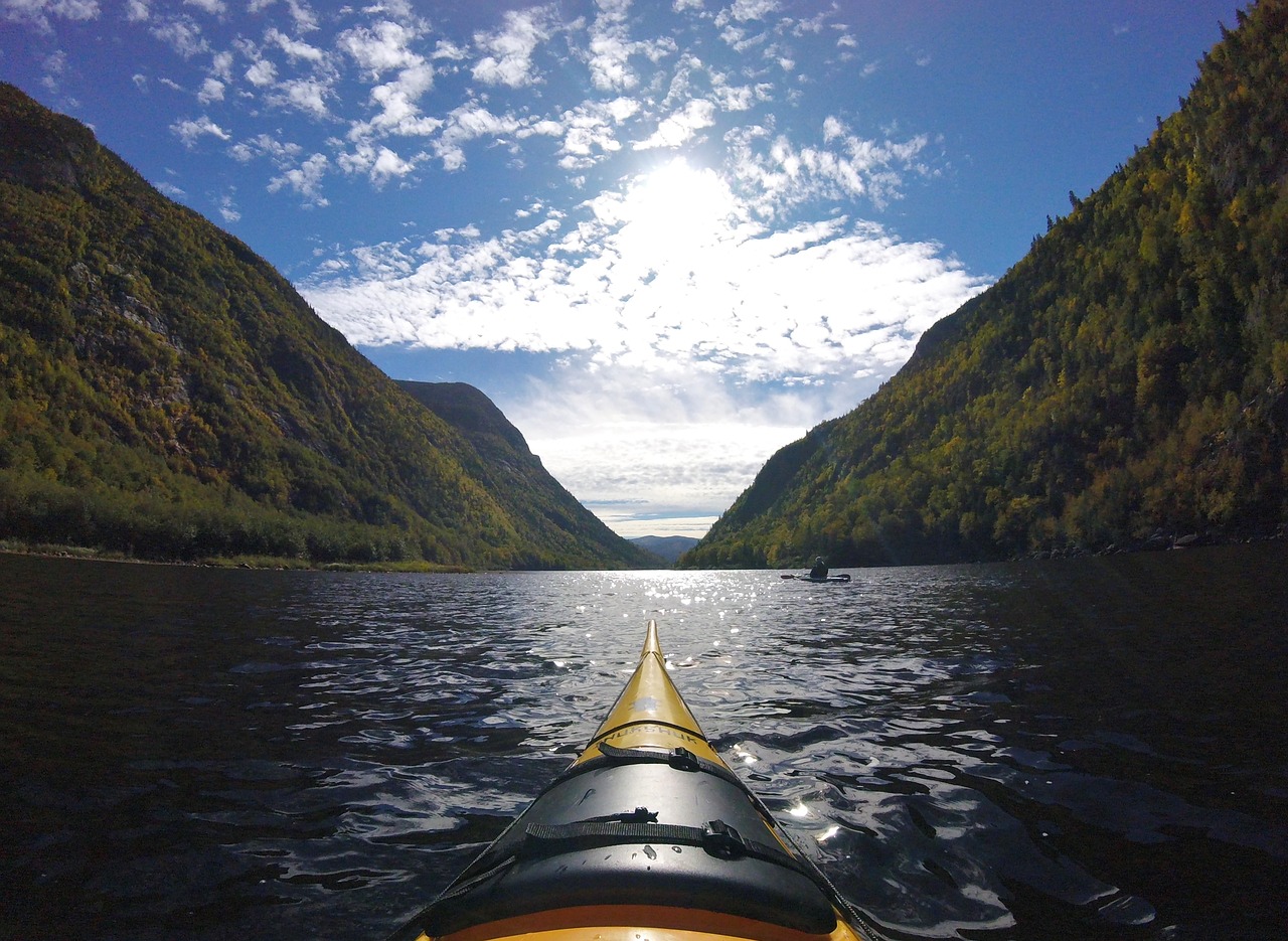 kayak nature river free photo