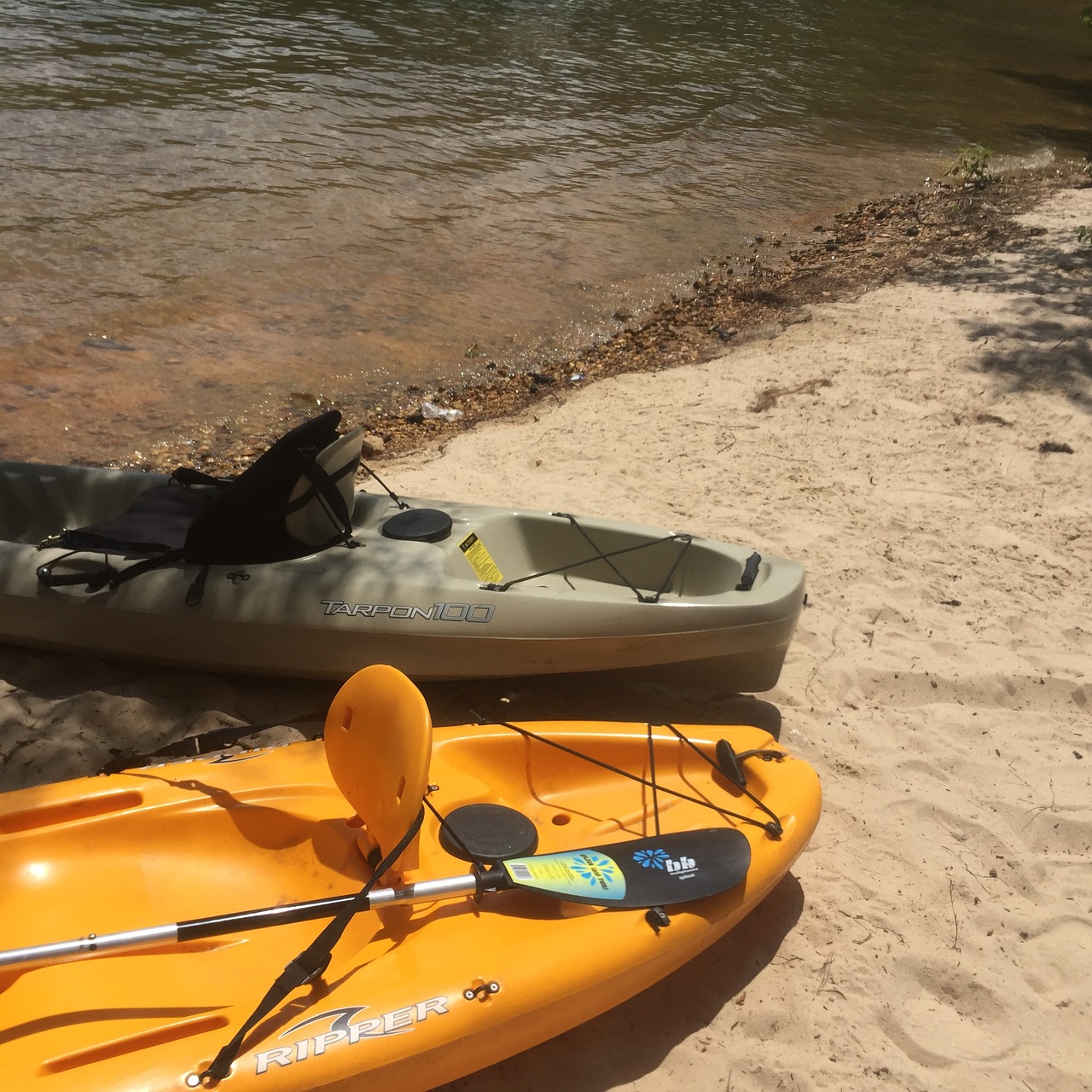 kayak lake summer free photo