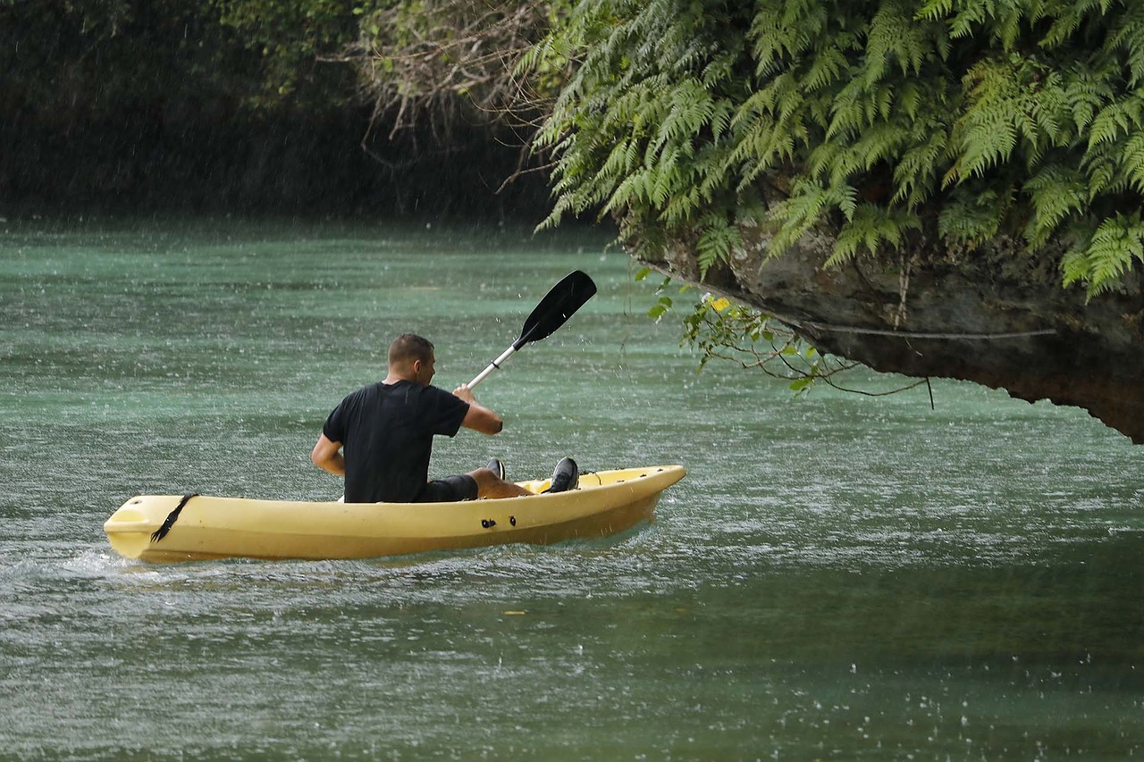 kayak beach resort free photo