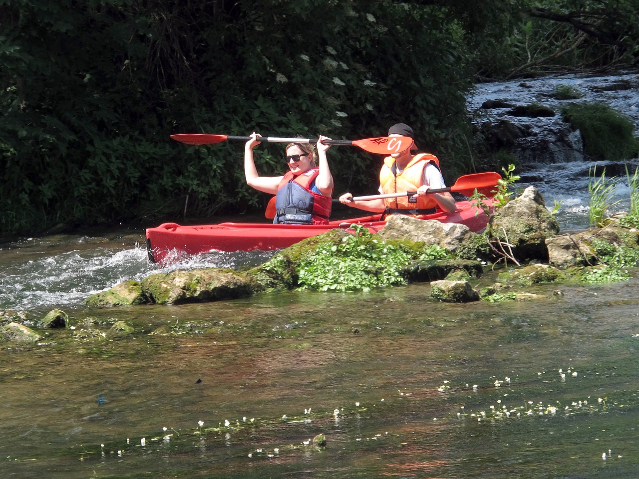 kayak paddle kayaked free photo