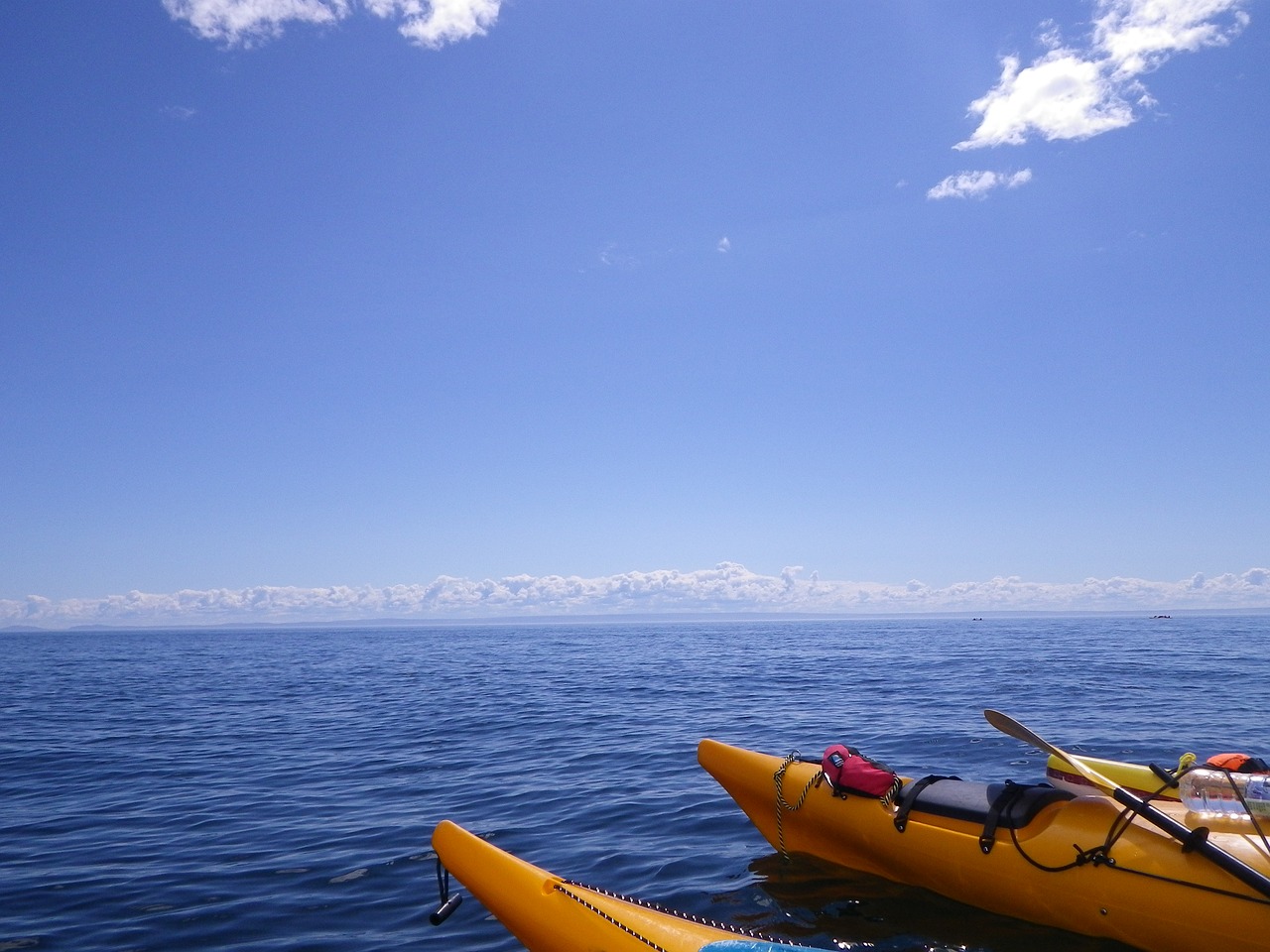 kayak river ocean free photo