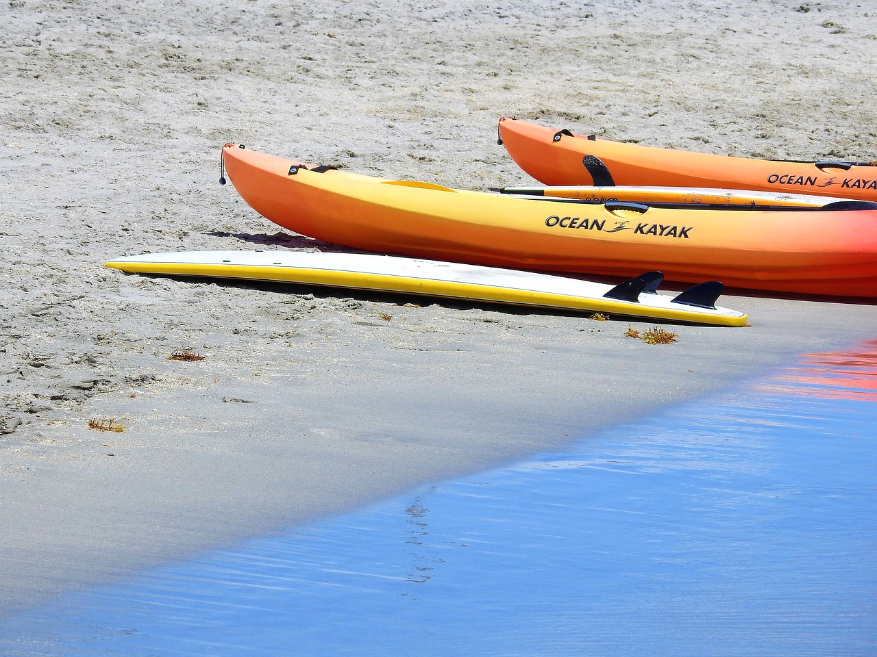 kayak ocean sea free photo