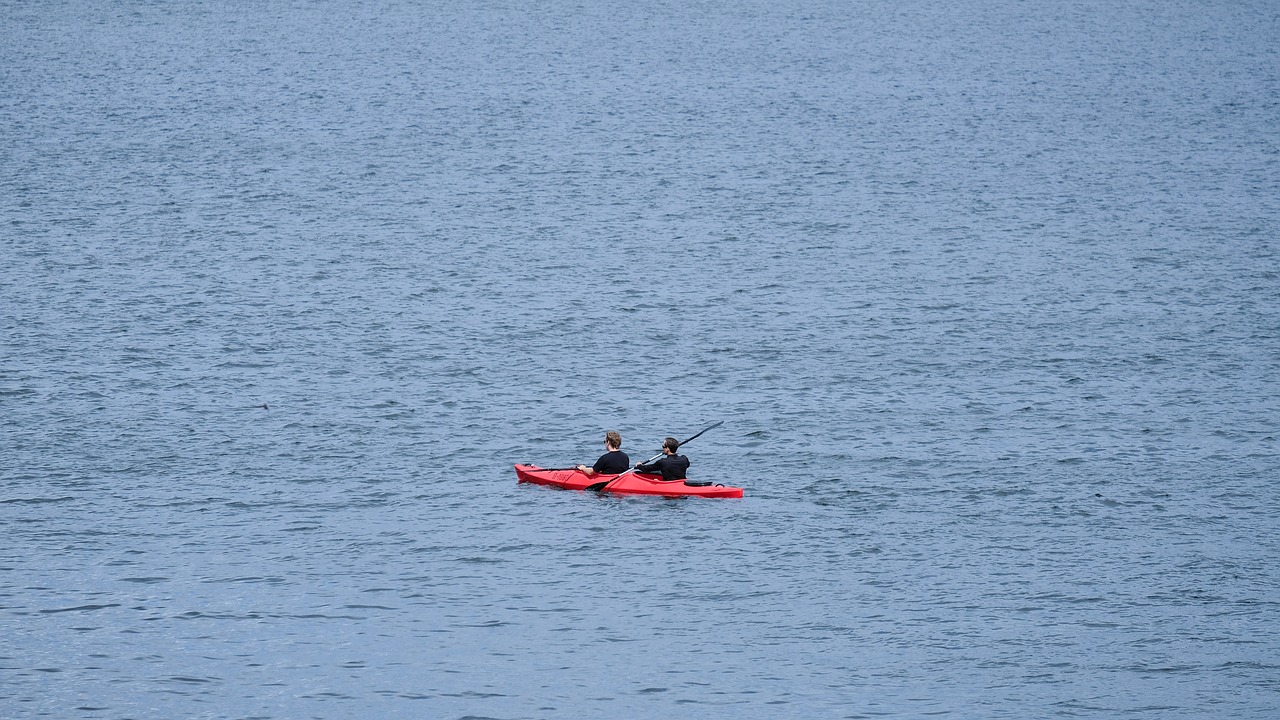 kayak canoeing wannsee free photo