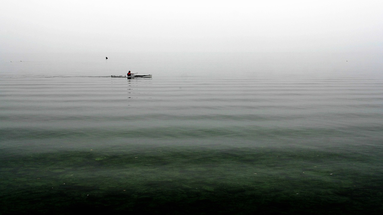 kayak rowing relax free photo