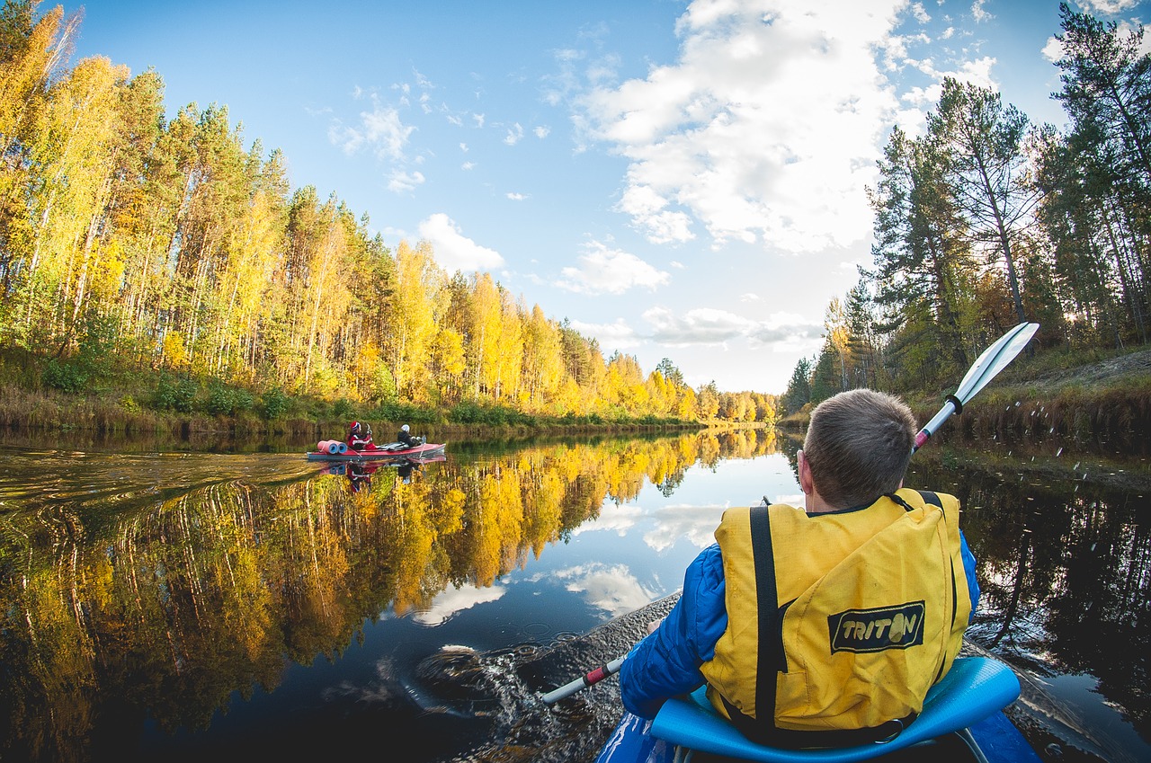 kayak forest river tourism free photo