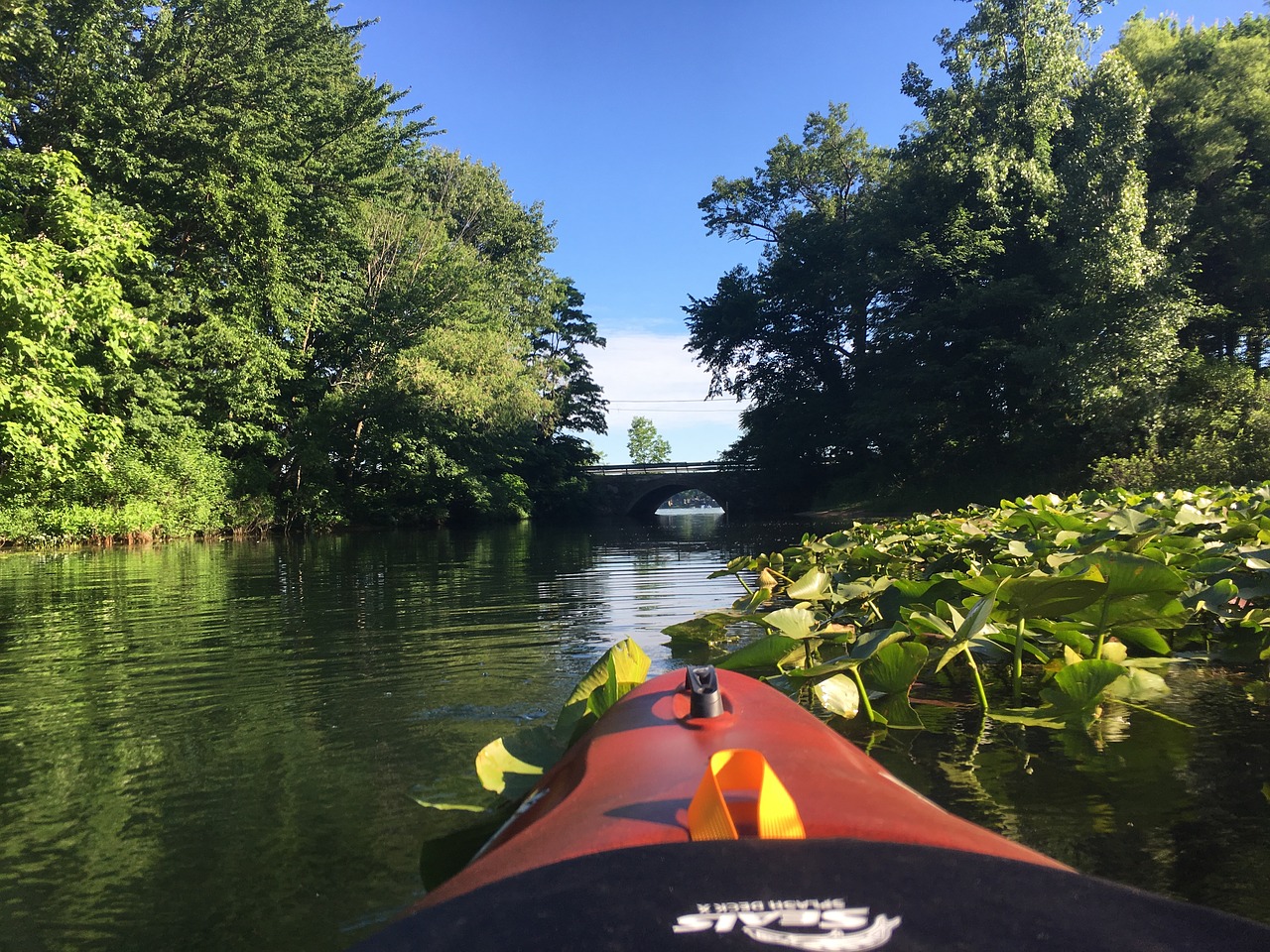 kayak  bridge  river free photo