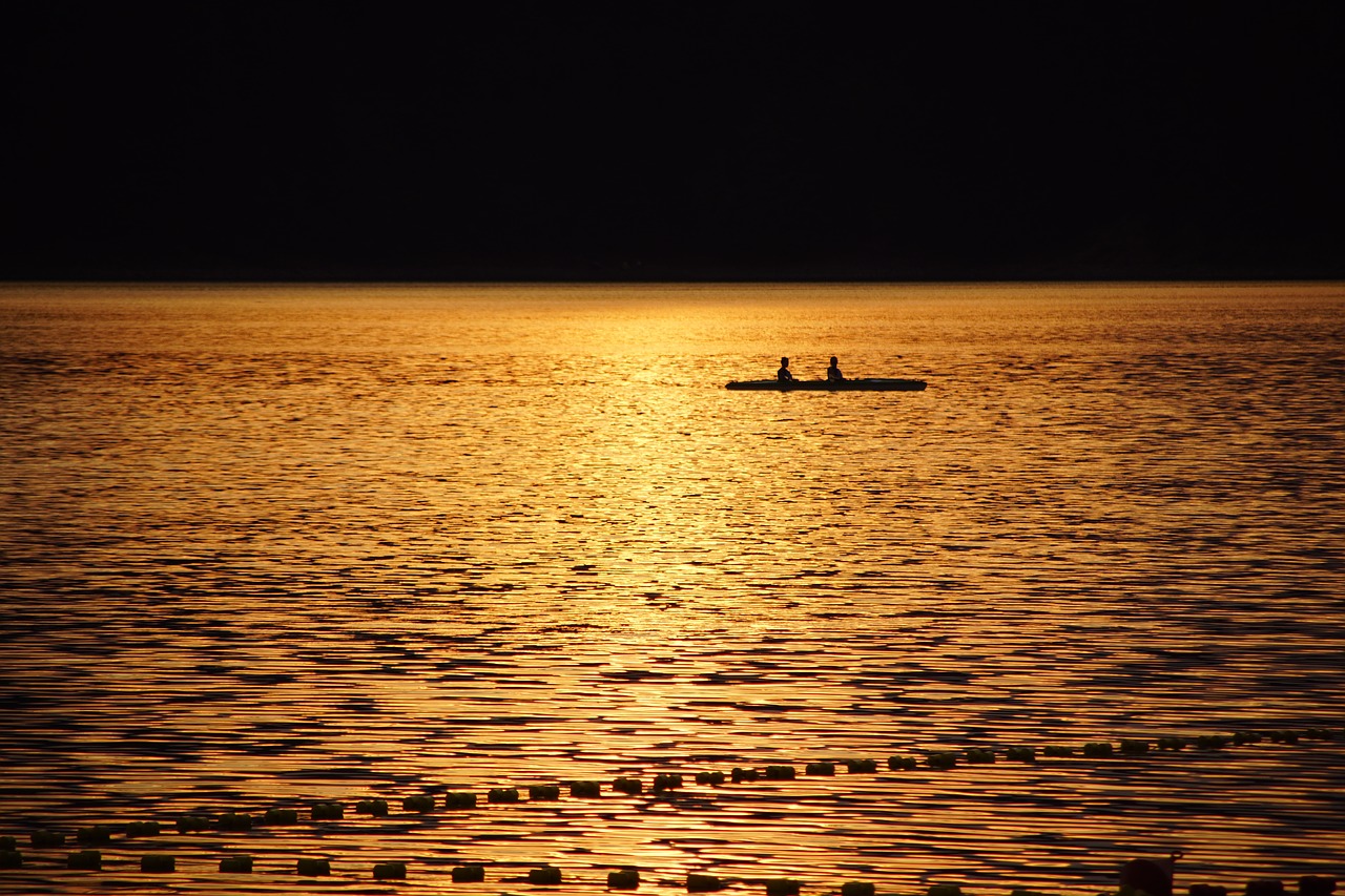 kayak  water  swimming free photo