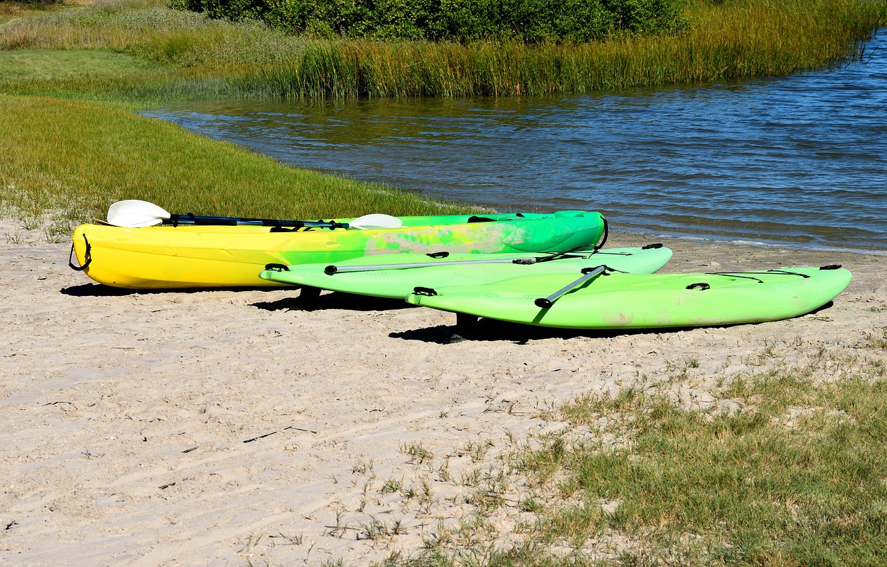 kayak  surf board  paddle boards free photo