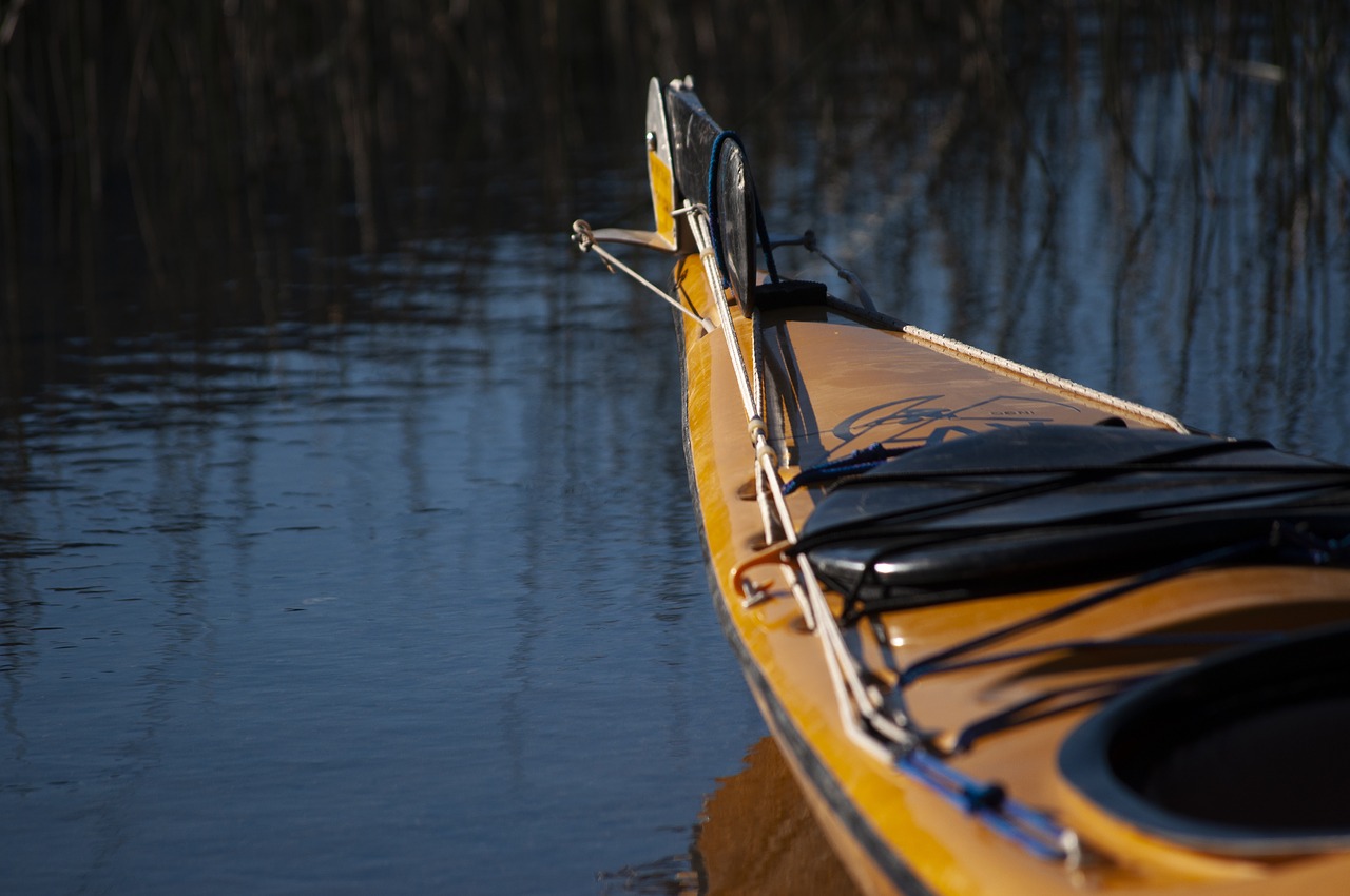 kayak  boat  nature free photo