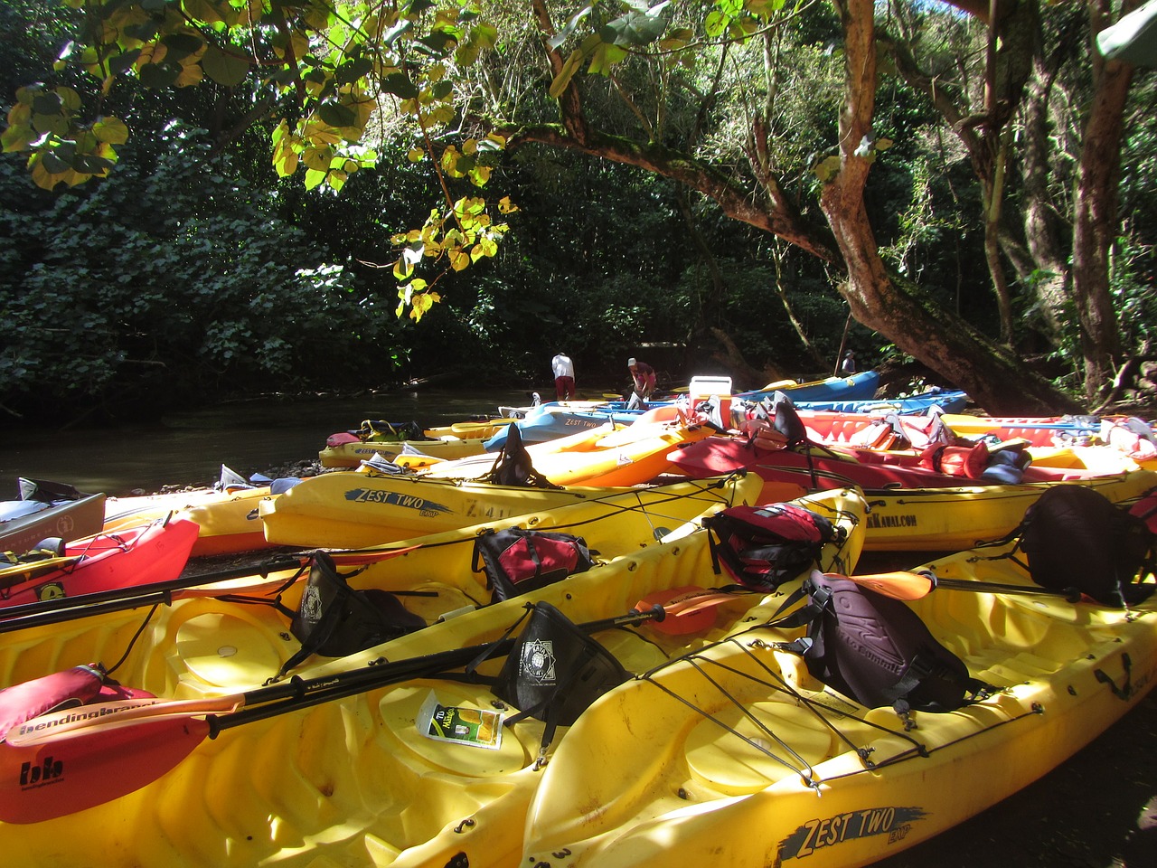 kayak river wailua river free photo