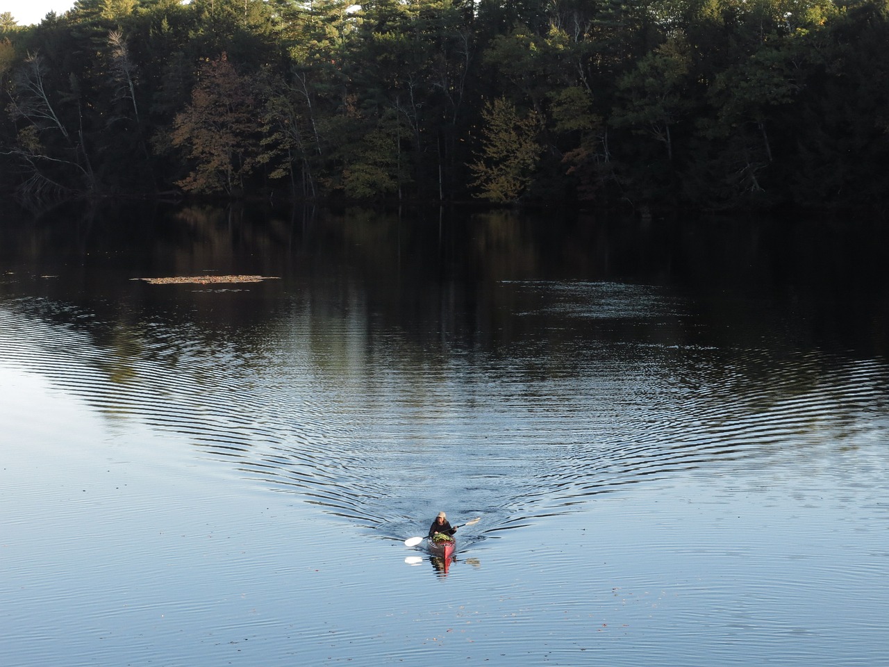 kayak river kayaking free photo