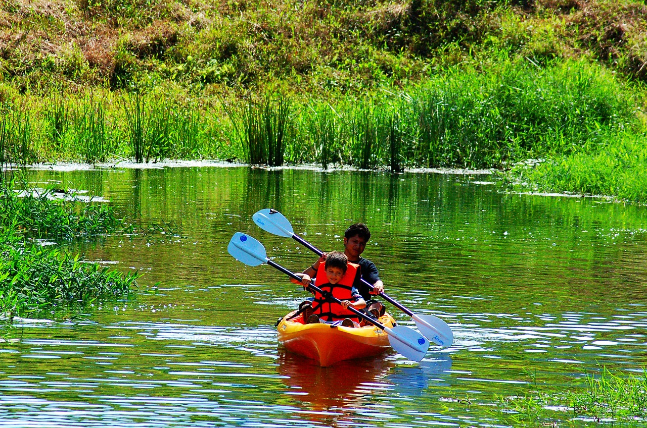kayak sports rowing free photo
