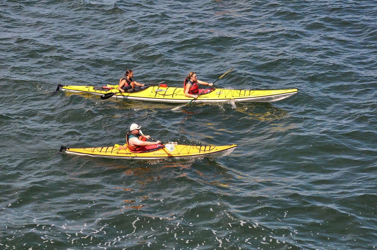 kayaking kayakers sport free photo