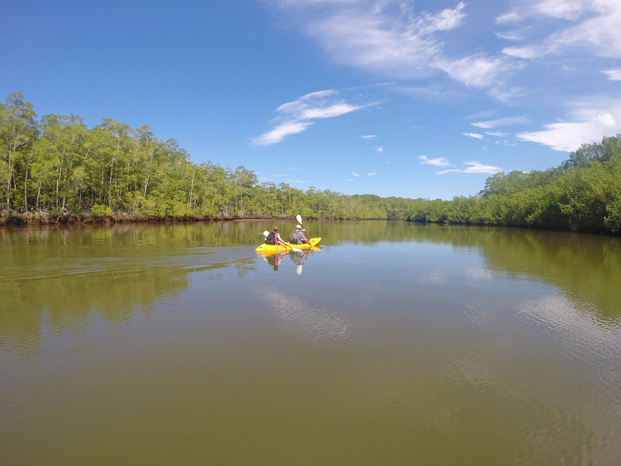 kayaking nature beautiful free photo