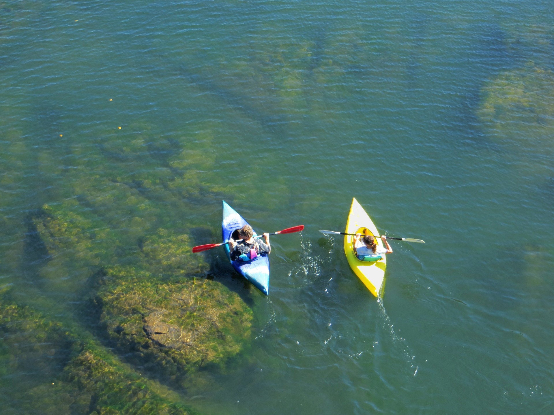 kayak water river free photo