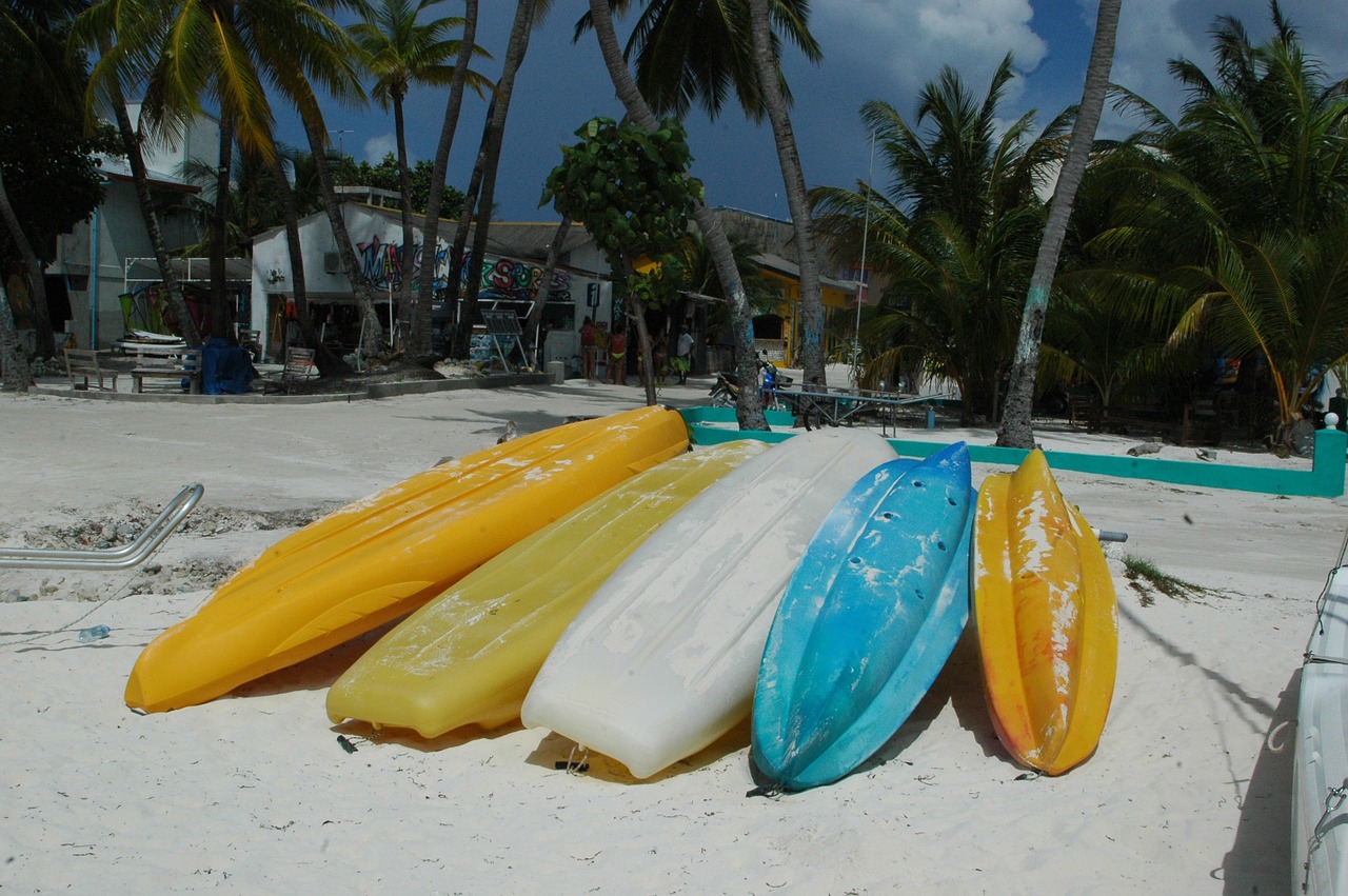 kayaks beach island free photo