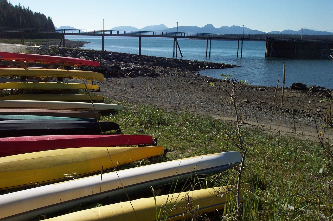 kayaks shore bartlett cove free photo