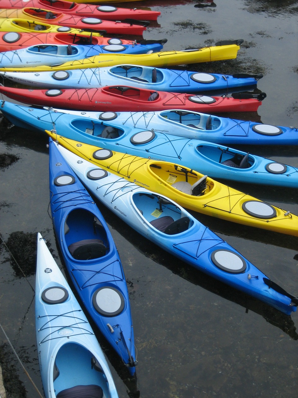 kayaks pattern boats free photo