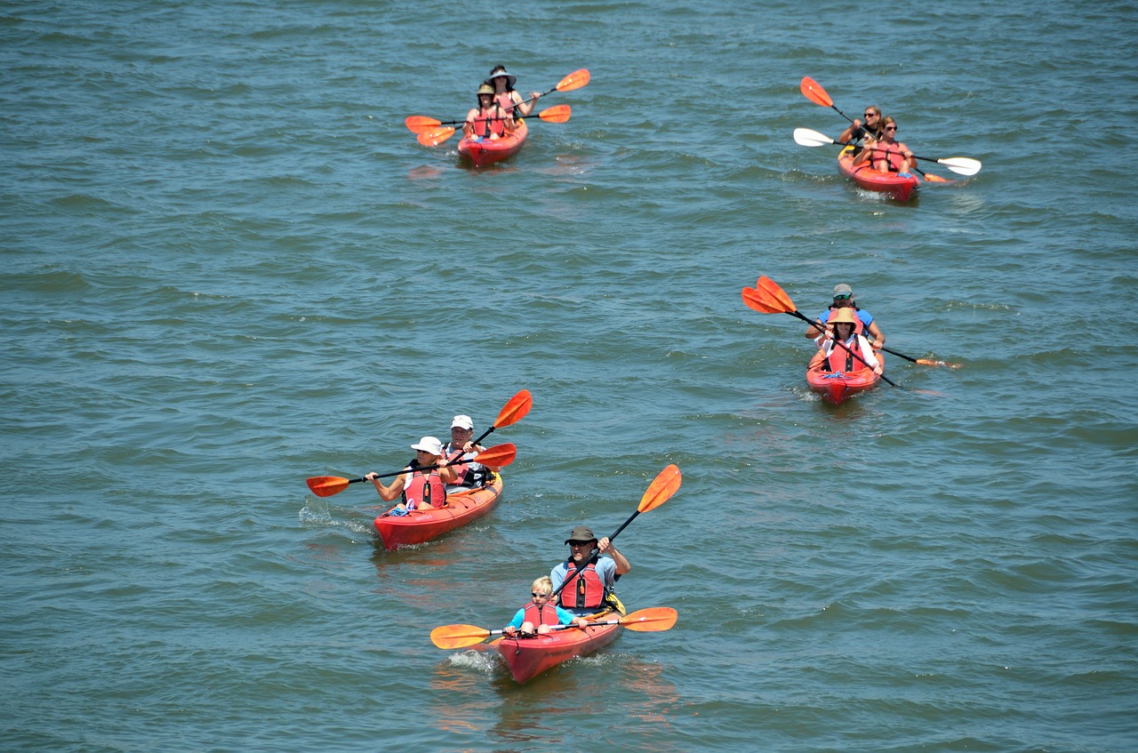 kayaks people leisure free photo