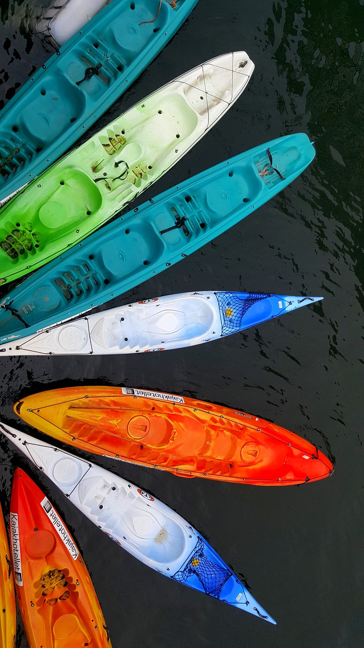 kayaks  boating  outdoor life free photo