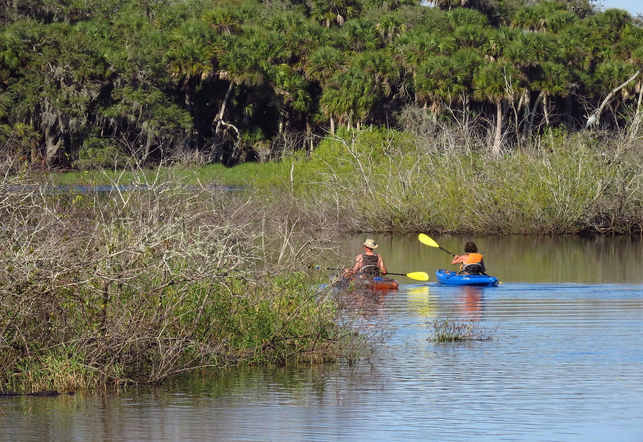 kayaks  people  kayaking free photo