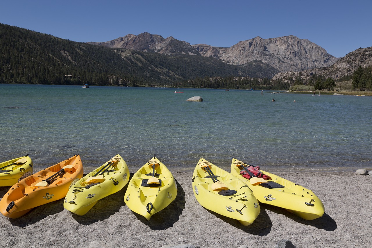 kayaks beach shore free photo