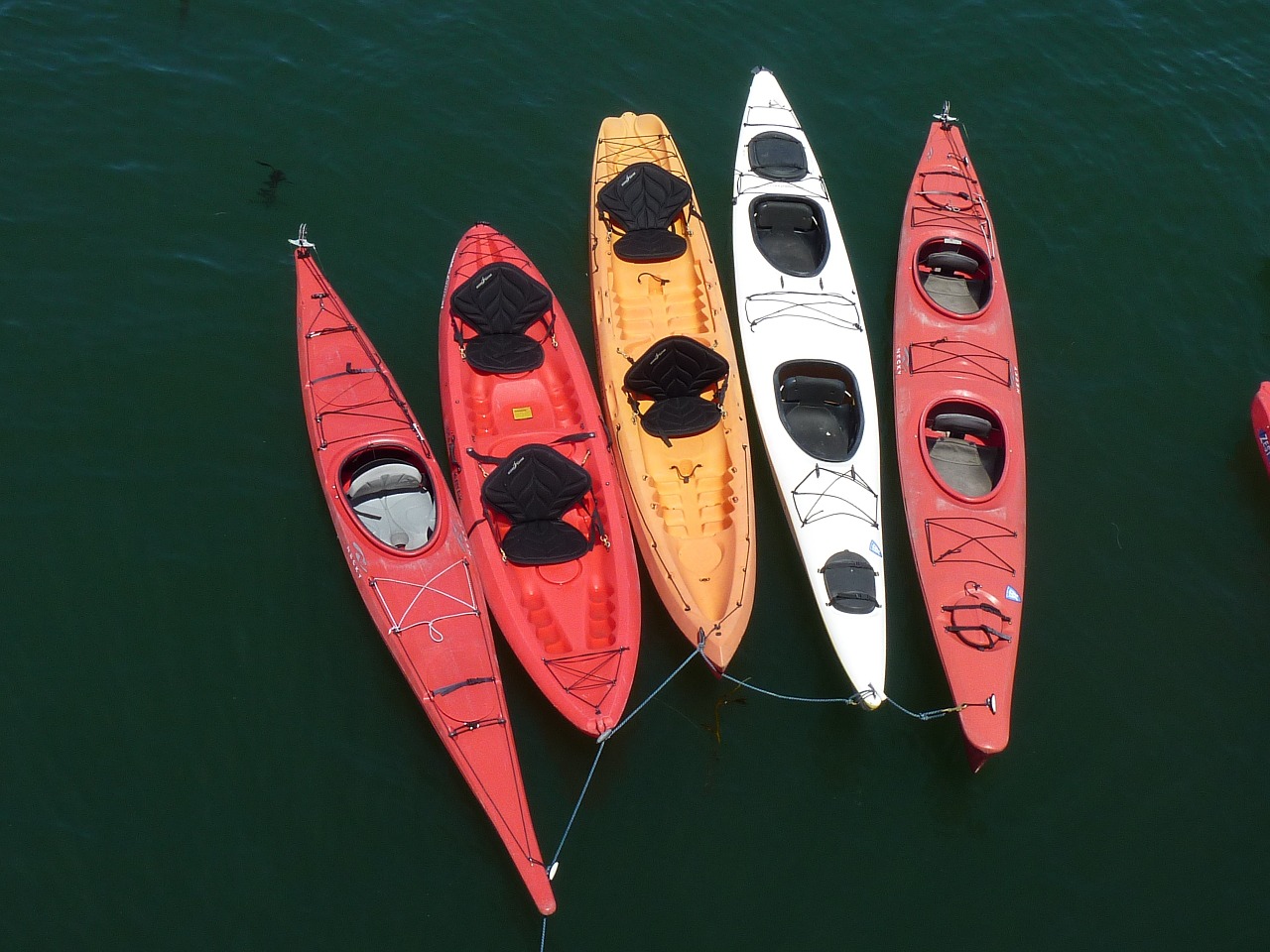 kayaks santa cruz beach canoe free photo