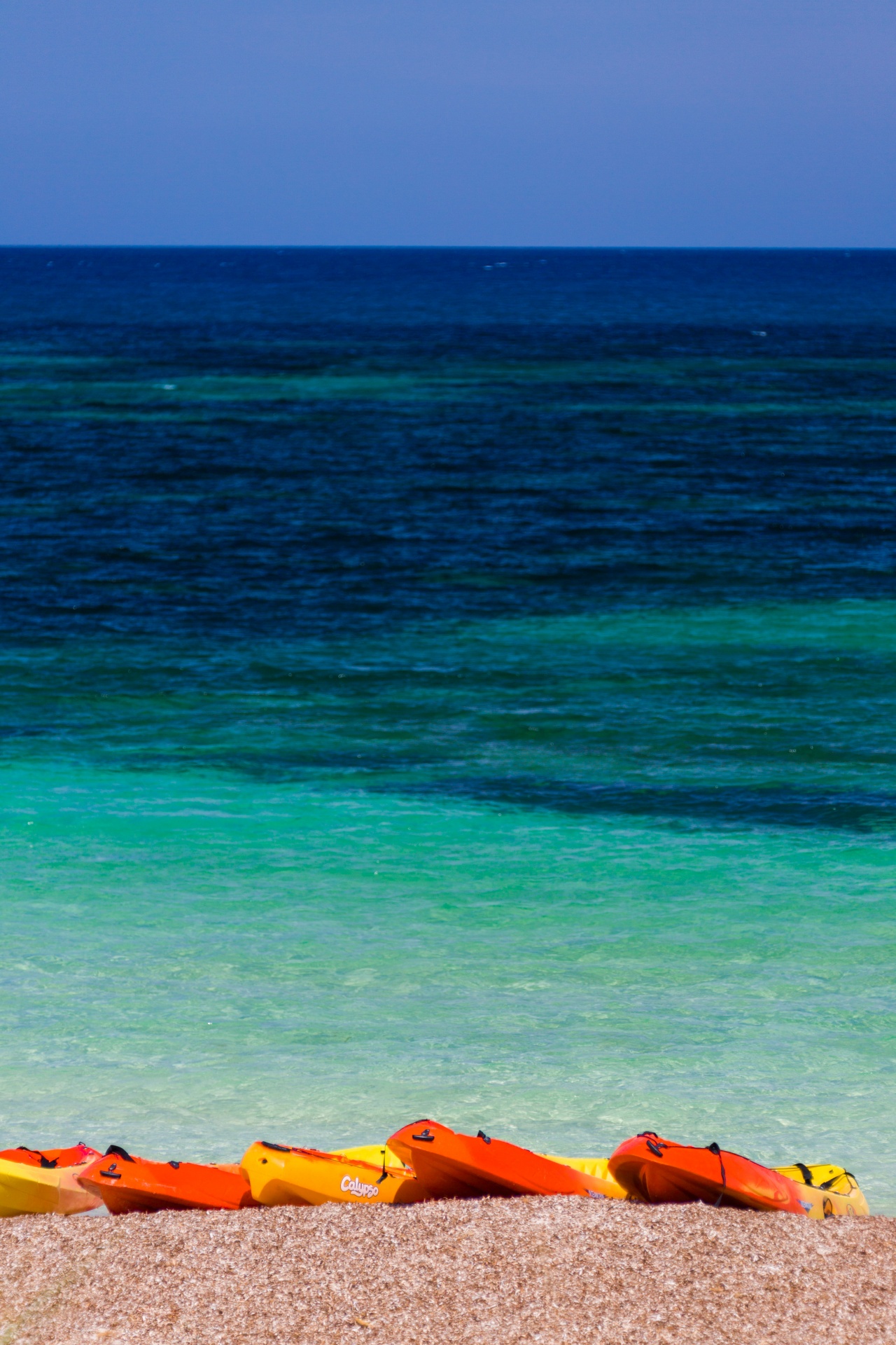 beach blue boat free photo