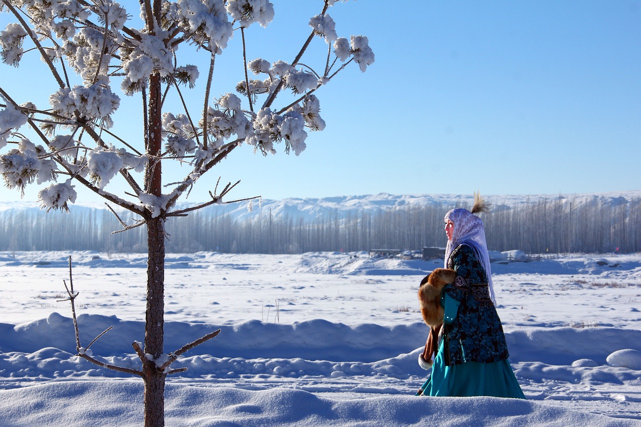 kazakh buerjin snow free photo