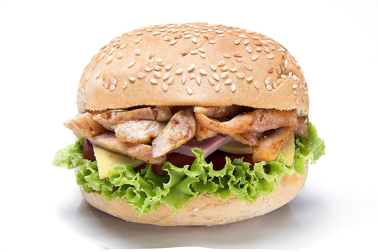 kebab sandwich pork free photo