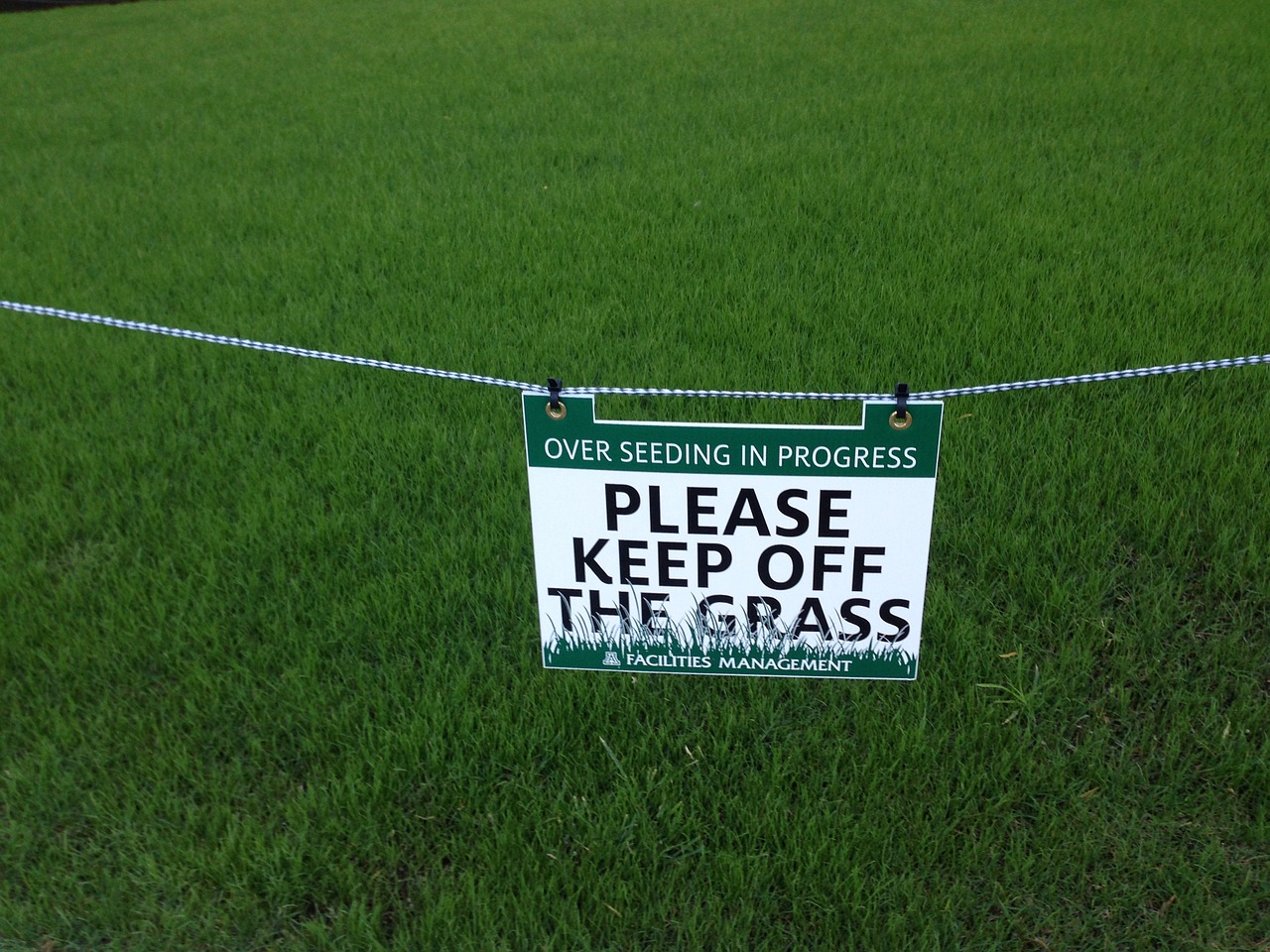keep off grass sign free photo