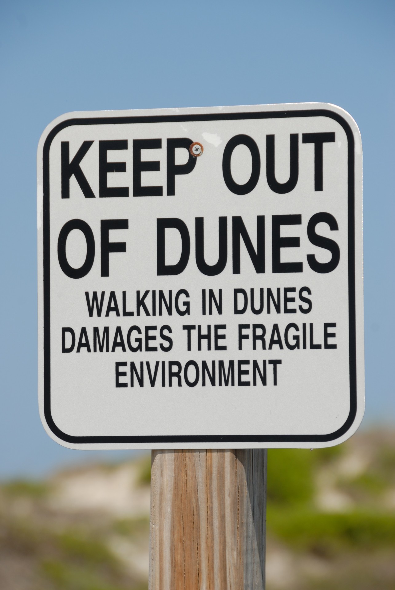 sand dunes sign warning free photo