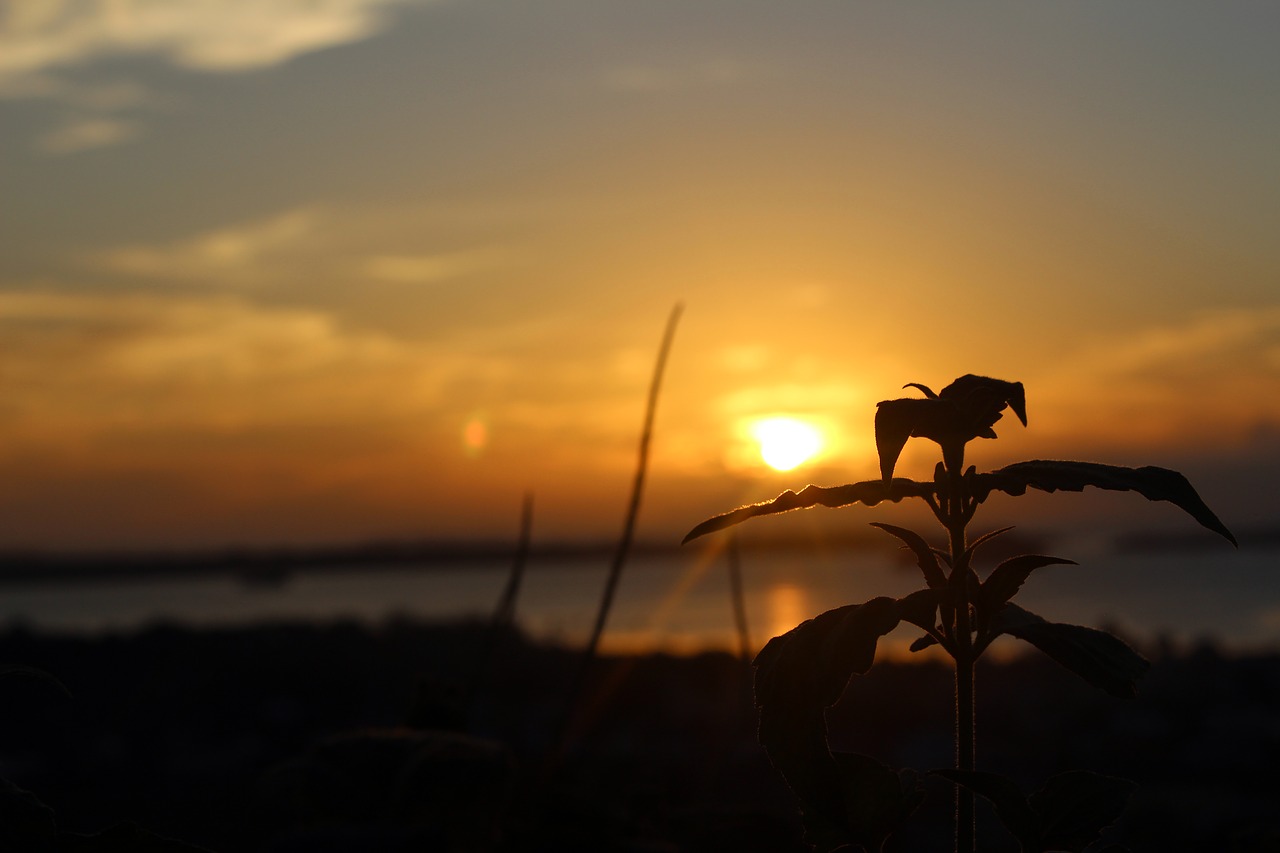 kei islands sunset twilight free photo