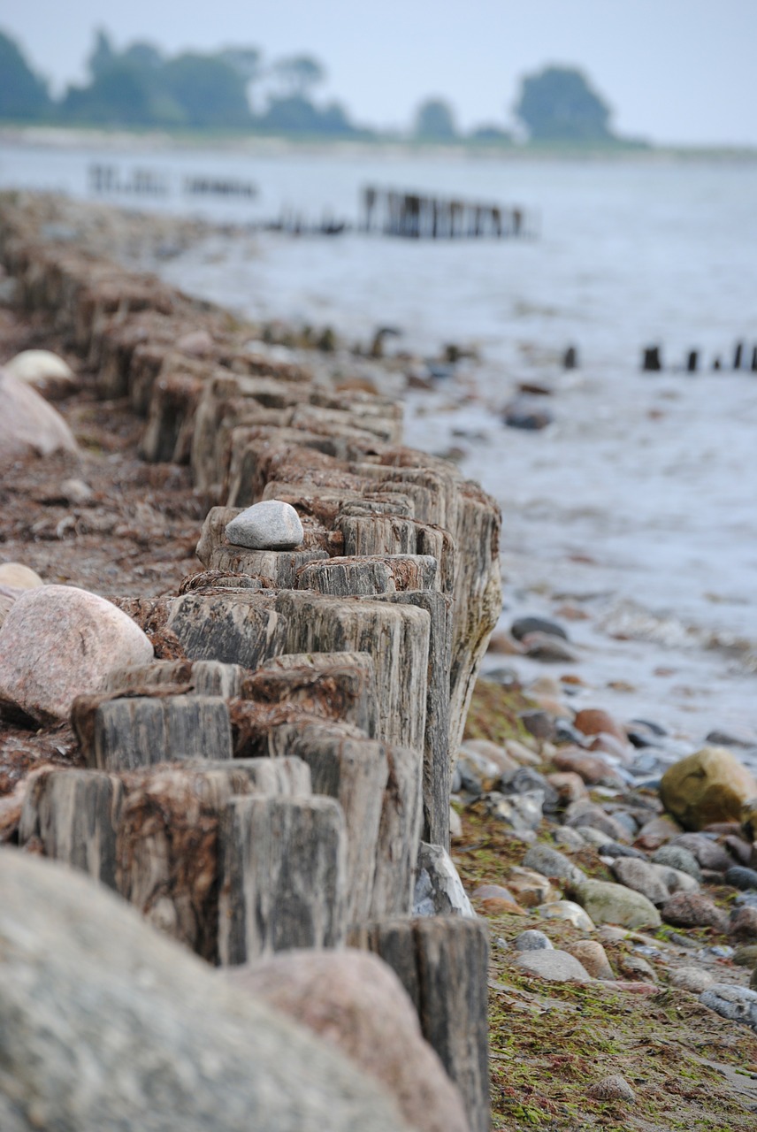 kellenhusen beach baltic sea free photo