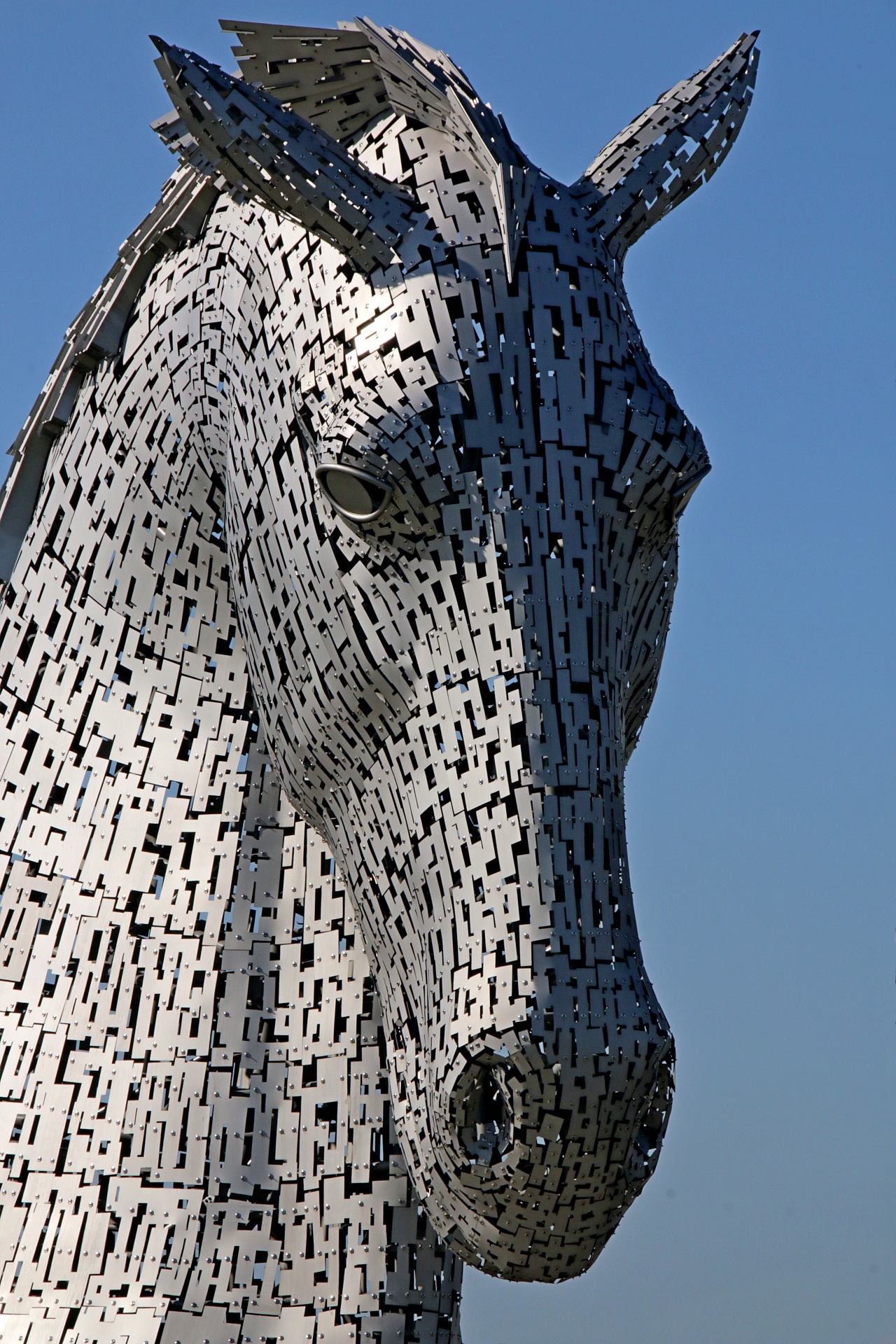 kelpies flakirk helix park free photo