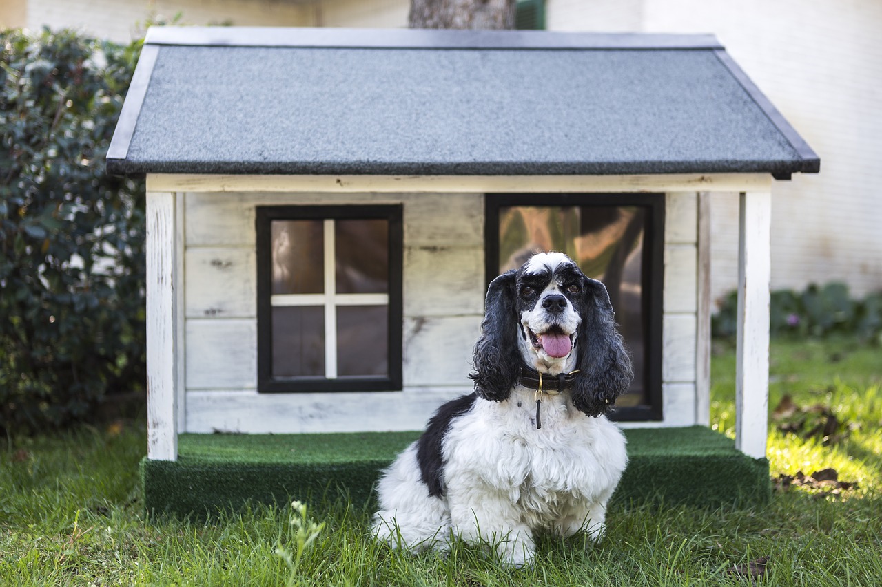 kennels for pets  dog houses  wooden houses for dogs free photo