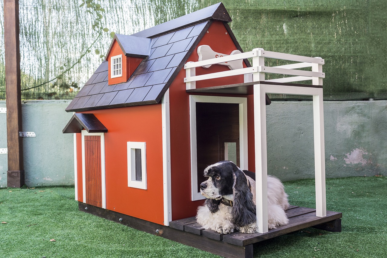 kennels for pets  dog houses  wooden houses for dogs free photo